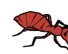 ant half.jpg - 2kb